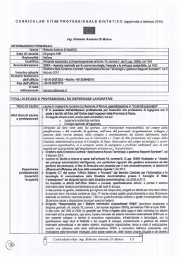 CURRICULUM VITAE PROFESSIONALE SINTETICO