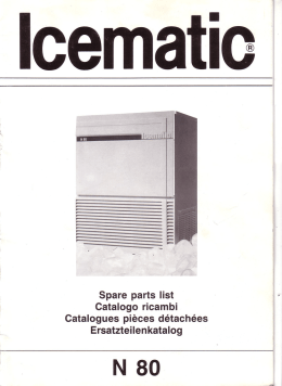 N80 - Scotsman Ice Systems