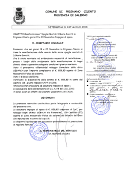 COMUNE DI PRIGNANO CILENTO PROVINCIA DI SALERNO