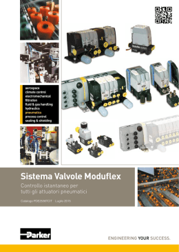 Sistema Valvole Moduflex