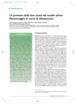 Le proteine della fase acuta nel cavallo atleta