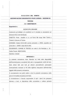 sezione bacino idrografico piave livenza