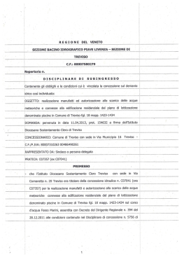 regione del` veneto sezione bacino idrografico