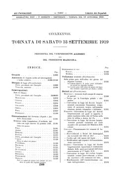 TORNATA DI SABATO 13 SETTEMBRE 1919