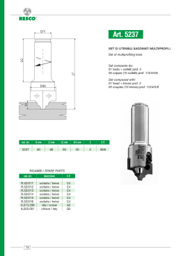 D30 10 G2 SET DI UTENSILI SAGOMATI