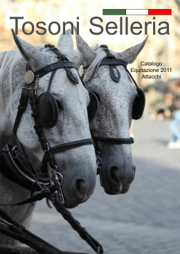 Catalogo Equitazione 2011 Attacchi
