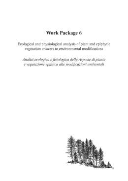 Work Package 6