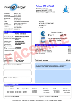 FAC SIMILE Bolletta Gas