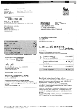 9 DIM N. 536 - Comune di Cividale del Friuli