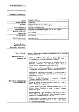 curriculum vitae