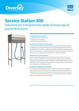 Service Station 300