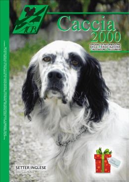 SETTER INGLESE - Associazione Cacciatori Bellunesi