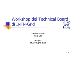 Workshop del Technical Board di INFN-Grid