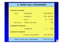Metabolismo del ferro e anemia sideropenica