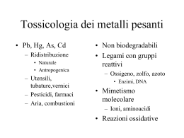 Tossicologia dei metalli pesanti