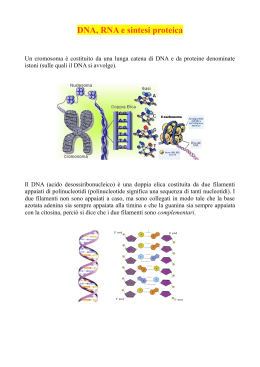 DNA, RNA e sintesi proteica