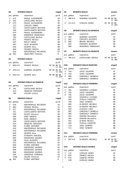 D2 INTENSO GIALLO singoli pos. gabbia espositore pun 1&deg; 672