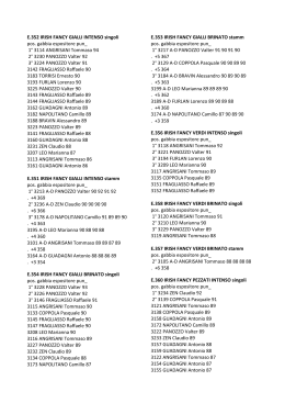 E.352 IRISH FANCY GIALLI INTENSO singoli pos. gabbia