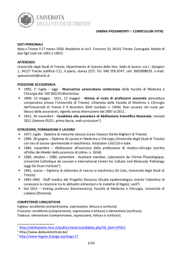 the CV