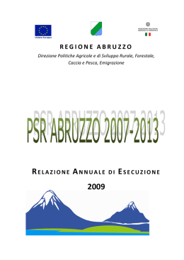 Relazione annuale di esecuzione (2009)