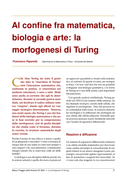 la morfogenesi di Turing - Ithaca