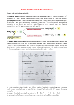 Reazione di sostituzione nucleofila bimolecolare SN2 Reazione di