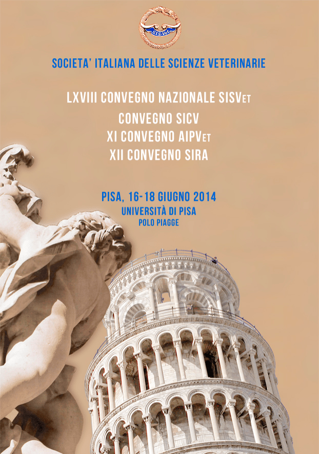 técnica no invasiva para próstata en vicenza 2020