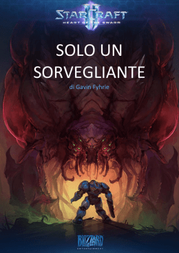SOLO UN SORVEGLIANTE