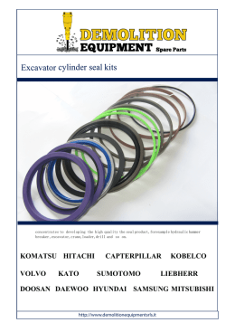 Serie guarnizioni escavatori