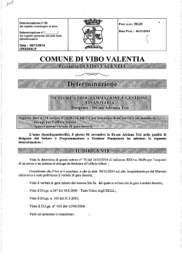 del registro cronologico di area.