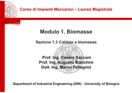 Impianti Meccanici M_modulo 1.3_Caldaie a biomassa_v13