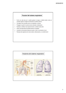 10. Sistema respiratorio
