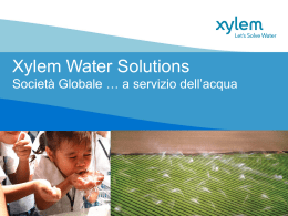 Stefano Sampaolo - Water Solutions