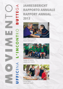 Verein MOVIMENTO Jahresbericht 2013