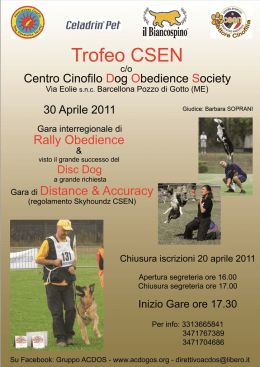 locandina gara Rally 30 04 2011