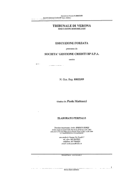 Page 1 TRIBUNALE DI VERONA ESECUZIONI IMMЬBELНARI