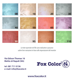 Le tinte riportate nel ﬁle sono indicative e possono