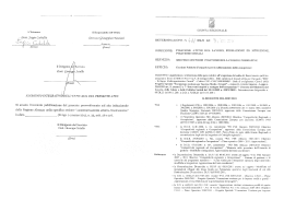 Determinazione dirigenziale n. 411/DL31 del 04.07.2014