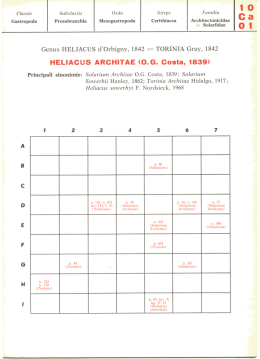 Page 1 Classis Gastropoda Subclassis Prosobranchia Ordo