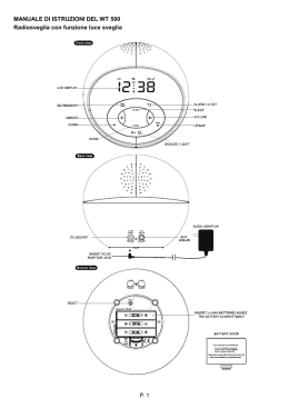 P. 1 MANUALE DI ISTRUZIONI DEL WT 500 Radiosveglia con