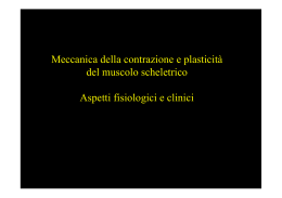 Meccanica della contrazione e plasticità del muscolo scheletrico