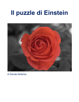 Il puzzle di Einstein
