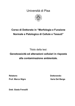 Scopo della tesi