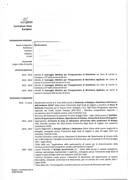 CV - Universit&agrave; degli studi di Cagliari.