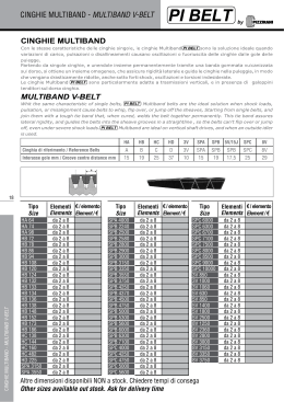 CINGHIE MULTIBAND - MULTIBAND V-BELT