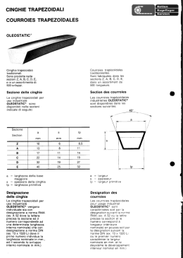 cinghie trapezoidali courroies trapezoîdales