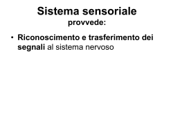Sistema sensoriale - Materiale Scienze della Formazione Primaria