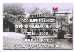relazione previsionale e programmatica