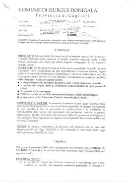 ordinanza comune di siurgus donigala tutela