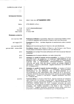 curriculum vitae - Universit&agrave; degli Studi di Cassino